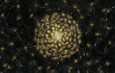Фотообои SUNSHINE 3, FLOWERS, Factura Фотообои SUNSHINE 3, FLOWERS, Factura
